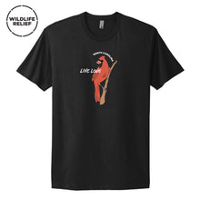 Load image into Gallery viewer, The Northern Cardinal Black Tee